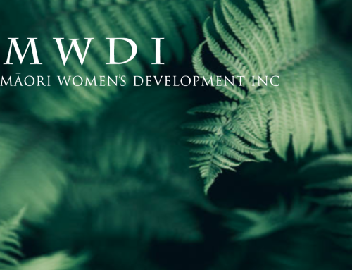 MWDI Programmes and Support
