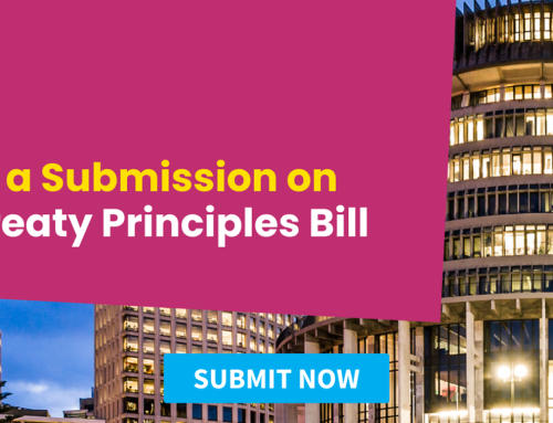 Open Public Submissions – Treaty Principles Bill