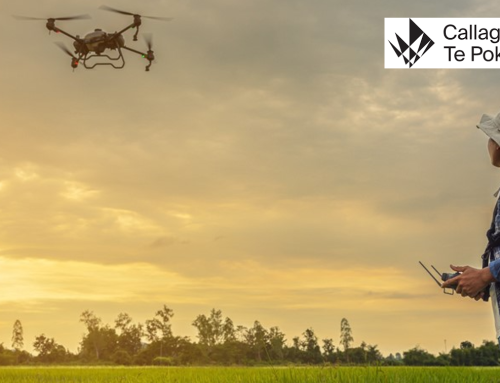 R&D Grants Are Back – Supercharge Innovation with Fresh Talent!